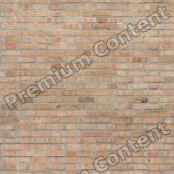 Seamless Textures of Wall Bricks + Normal & Bump Mapping 